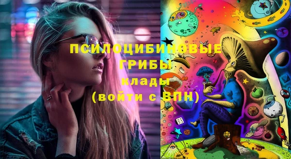2c-b Алзамай