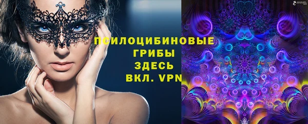 2c-b Алзамай