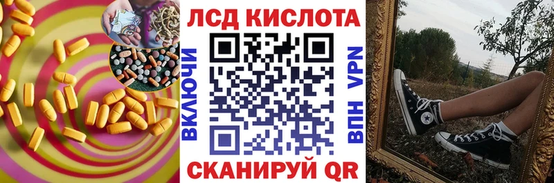 дарнет шоп  Апатиты  Лсд 25 экстази кислота 